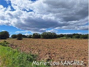 terrain à la vente -   34410  SERIGNAN, surface 4500 m2 vente terrain - UBI475245137
